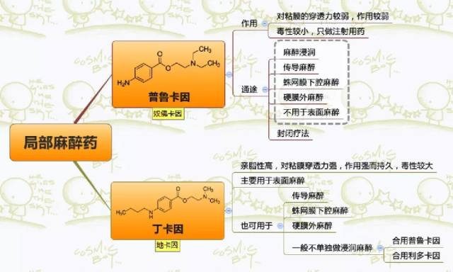 图片预览