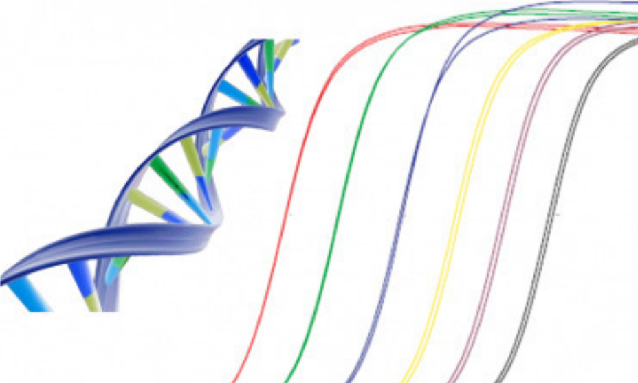 胶DNA片段回收实验