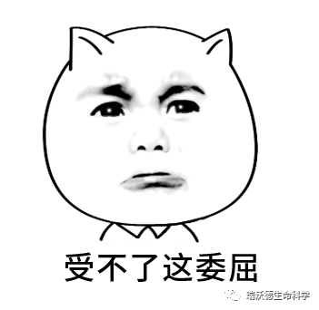 刚上手做脑立体定位注射？快进来抄答案！