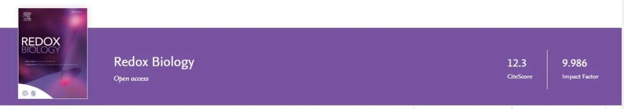 Biorbyt文献：Stat2-Drp1介导的线粒体质量增加对于巨噬细胞的炎性分化是必要的