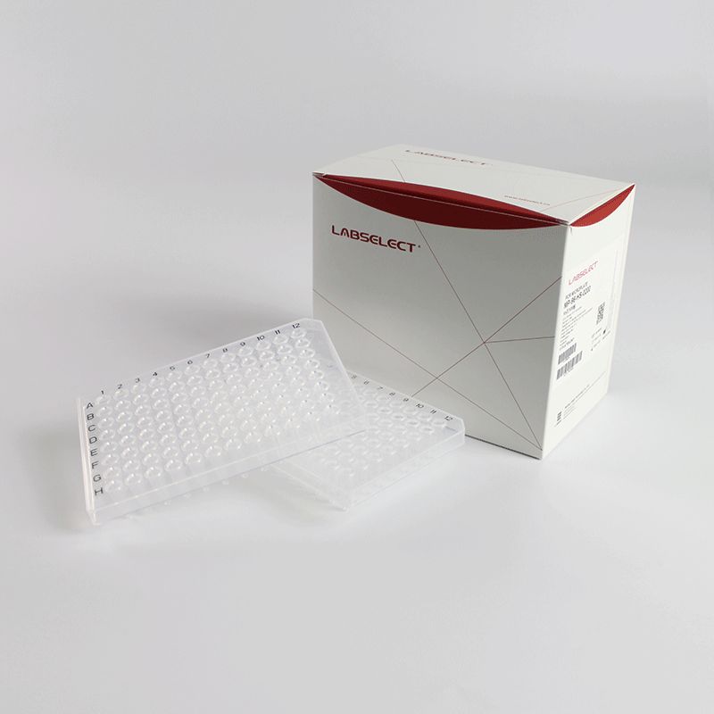 LABSELECT MP-96-HS-0200 96孔半裙边PCR板