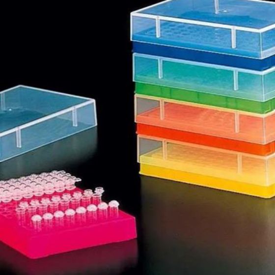普通电泳PCR扩增实验