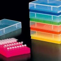 普通电泳PCR扩增实验