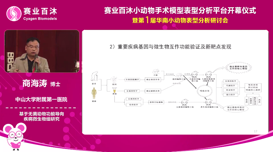 基于无菌动物功能导向疾病微生物组研究