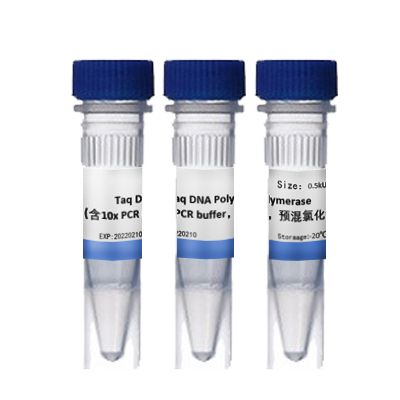Taq DNA Polymerase（含10x PCR buffer，預混氯化鎂）