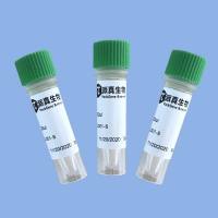 （试用）CRISPR基因编辑-AAV