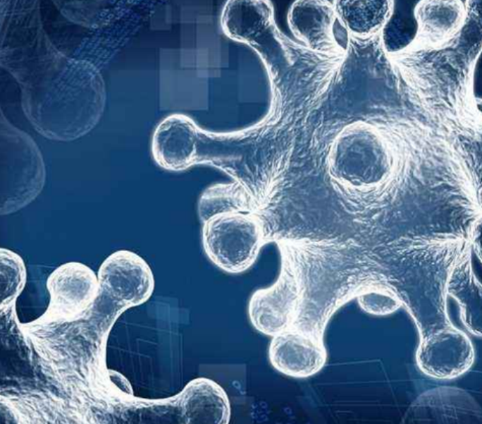 过表达慢病毒构建及包装实验