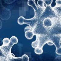 过表达慢病毒构建及包装实验