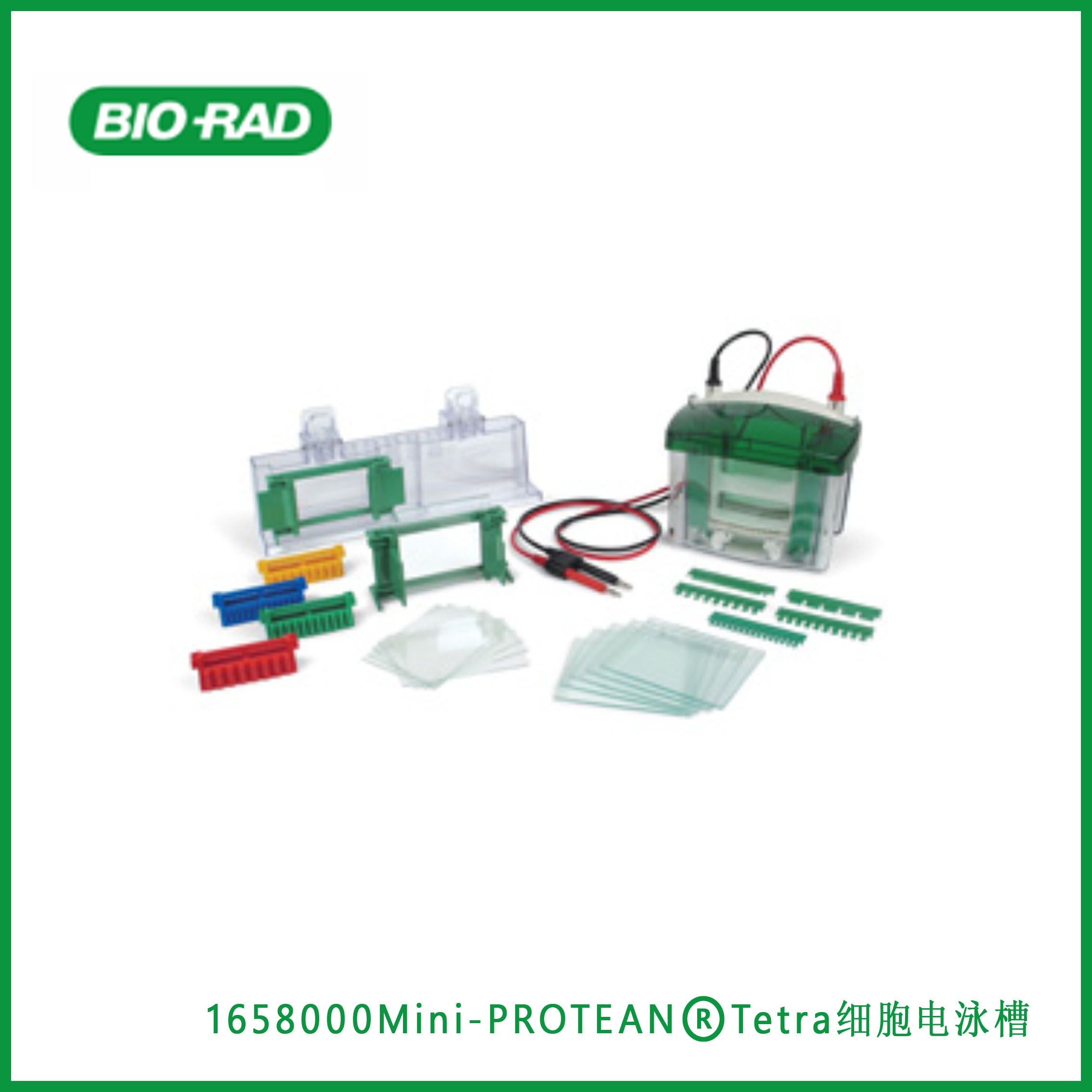 伯乐Bio-Rad1658000Mini-PROTEAN® Tetra Cell， ​​​​​​​Mini-PROTEAN®Tetra细胞电泳槽,现货
