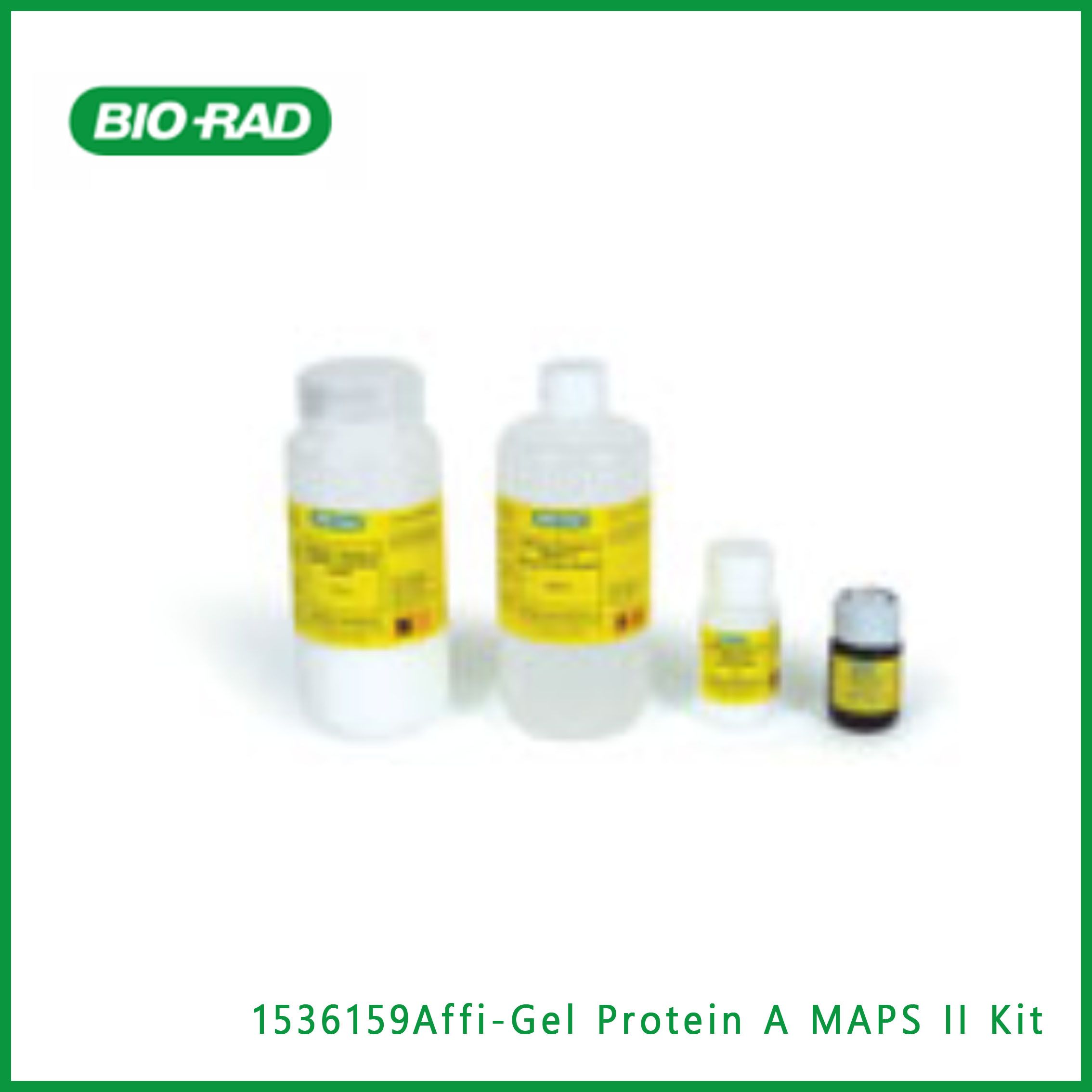 伯乐Bio-Rad1536159Affi-Gel Protein A MAPS II Kit，阿菲凝胶蛋白A MAPS II试剂盒，现货