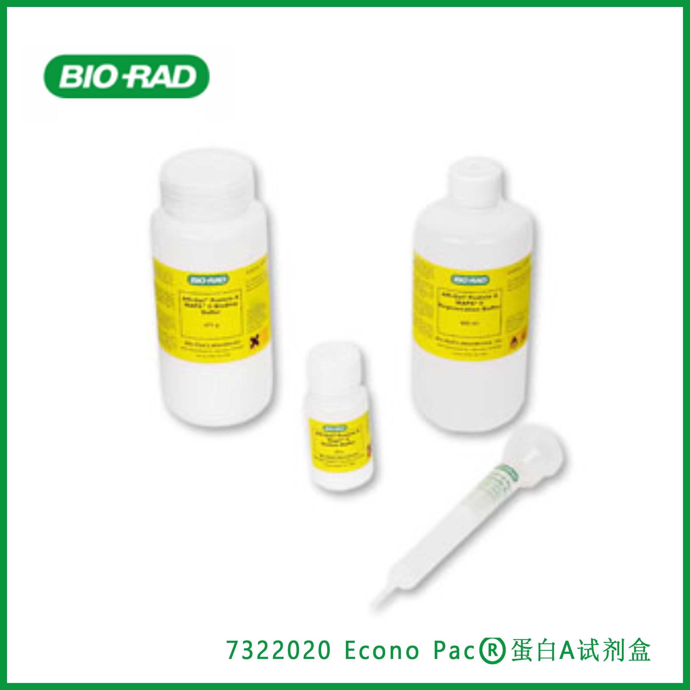 伯乐Bio-Rad7322020Econo-Pac® Protein A Kit，Econo Pac®蛋白A试剂盒，现货