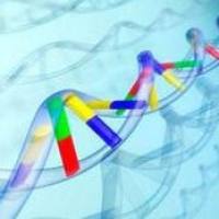 分子克隆实验