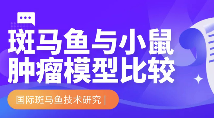 国际斑马鱼研究|斑马鱼肿瘤模型与小鼠肿瘤模型比较