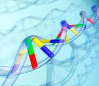 上海分子克隆实验