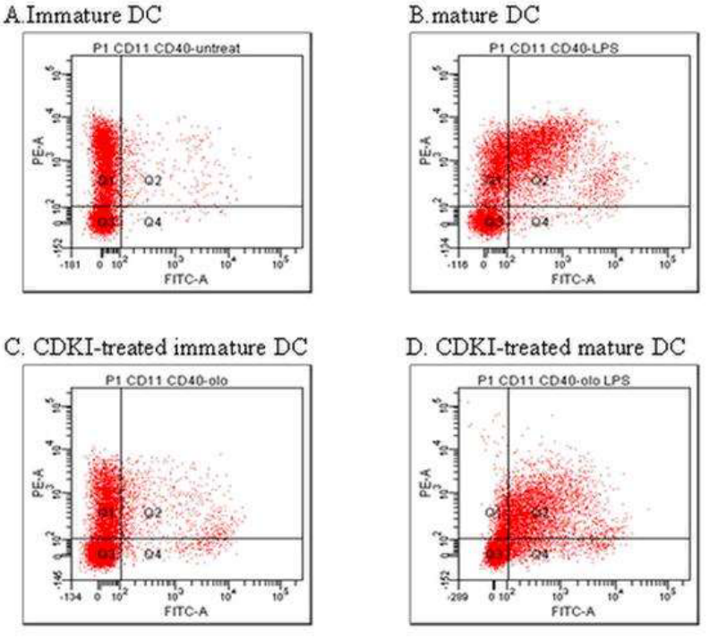 流式细胞仪检测