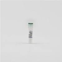 GFP-Nanoab-Agarose beads