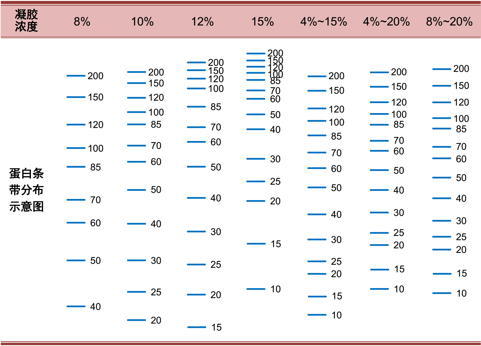 LK211 Omni-PAGE™ 预制胶 Hepes 15%