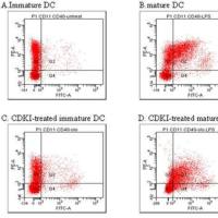 流式细胞仪检测