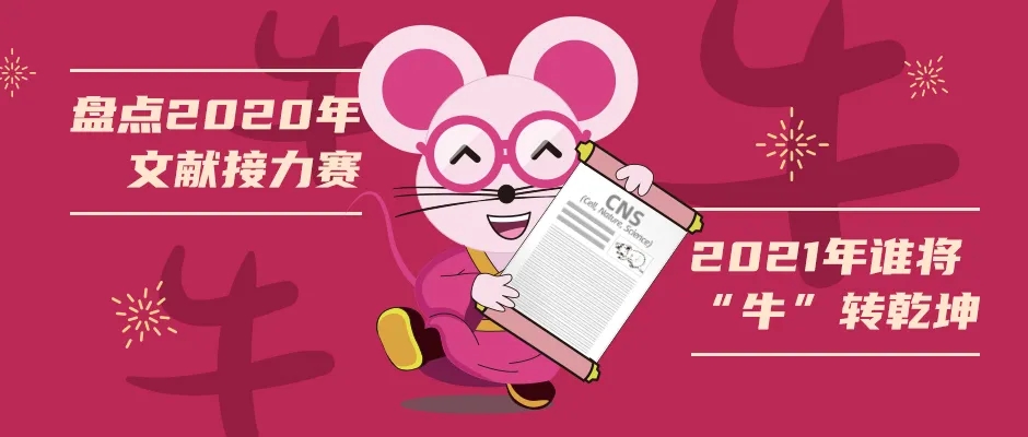 盘点2020文献接力赛，2021谁将“牛”转乾坤