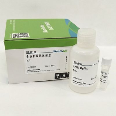 全蛋白提取试剂盒-50T