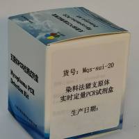 染料法猪支原体实时定量PCR试剂盒