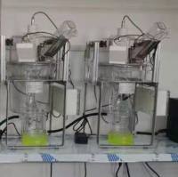 动物代谢测量分析系统