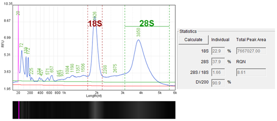 肿瘤基因检测前做好这一步，让你离实验成功近一大步