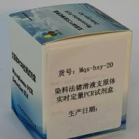 染料法猪滑液支原体实时定量PCR试剂盒