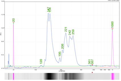 肿瘤基因检测前做好这一步，让你离实验成功近一大步