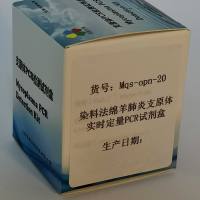 染料法绵羊肺炎支原体实时定量PCR试剂盒