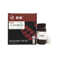 ZJ101 BCA蛋白定量试剂盒