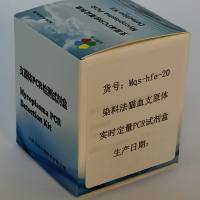 染料法猫血支原体实时定量PCR试剂盒