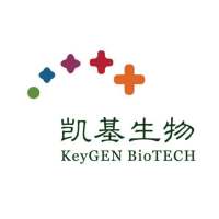 人白介素-4（IL-4）ELISA试剂盒