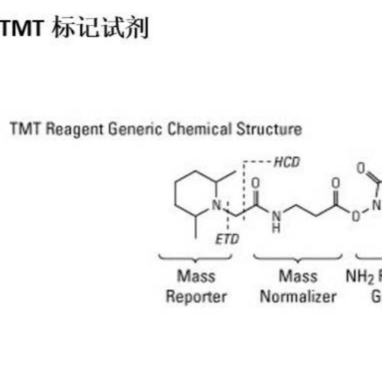 TMT蛋白组学实验