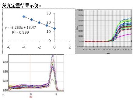 GMO转基因元件检测