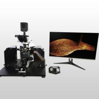 Alpha 3光片显微镜