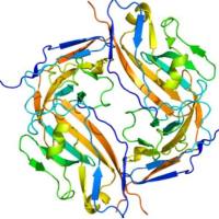 定量蛋白组学实验