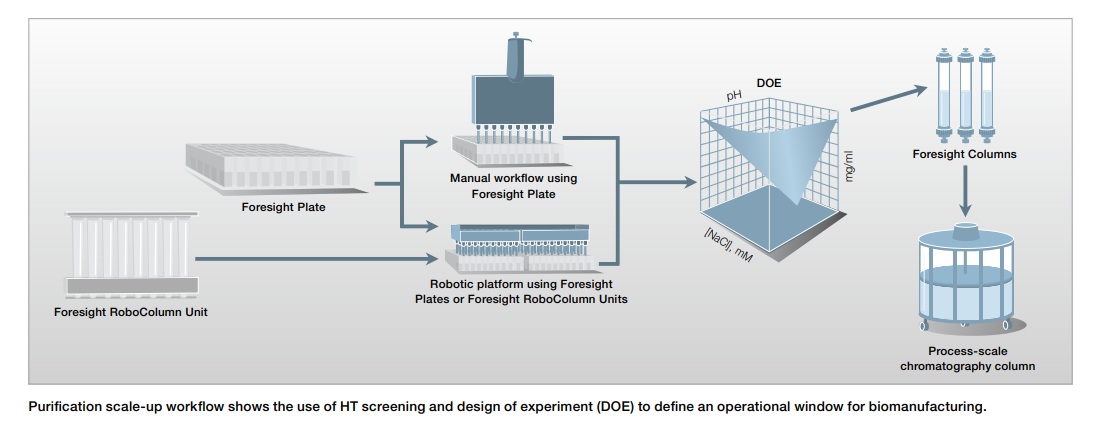 伯乐Bio-Rad7324714Foresight UNOs