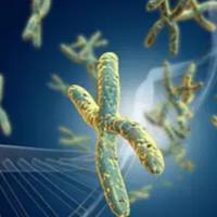 动物全基因组重测序实验