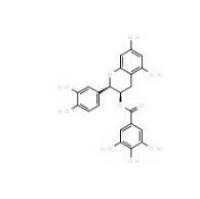 (-)-表儿茶素没食子酸酯1257-08-5