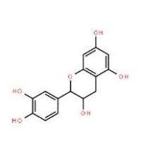 (+)-儿茶精154-23-4