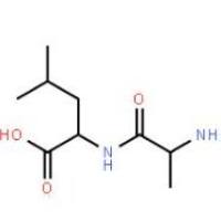 DL-丙氨酰-DL-亮氨酸1999-42-4