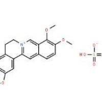 硫酸小檗碱633-66-9