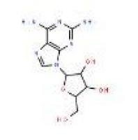 2-氨基腺嘌呤核苷 2-Aminoadenosine