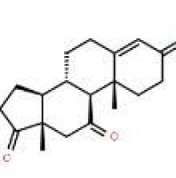 肾上腺甾酮382-45-6