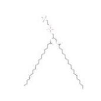 1,2-二硬脂酰-sn-甘油-3-磷酰胆碱816-94-4