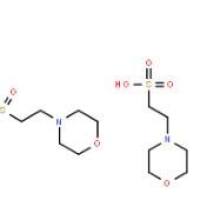 MES 半钠盐117961-21-4