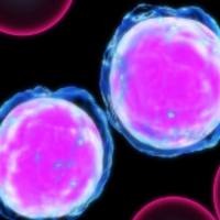 细胞MTT检测技术服务