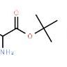 L-丙氨酸叔丁酯盐酸盐13404-22-3