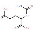 N-氨基甲酰-L-谷氨酸1188-38-1